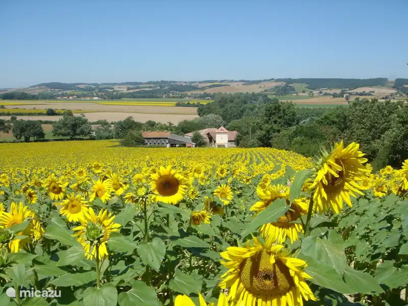 La Grande Maison de Migou en Francia, Tarn-et-Garonne, Larrazet - Casa de campo / Castillo La Grande Maison de Migou en Francia, Tarn-et-Garonne, Larrazet - Casa de campo / Castillo