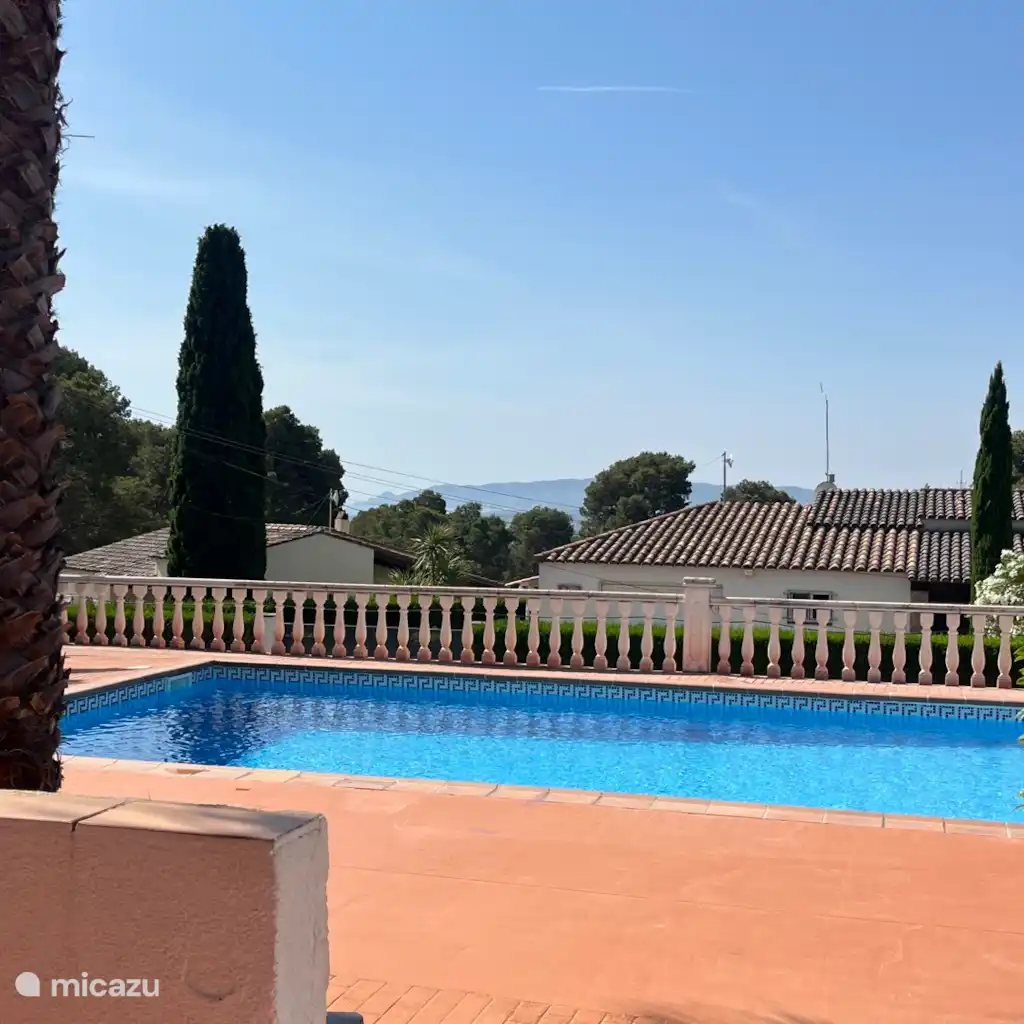 Palmeras Estartit C, foto 5