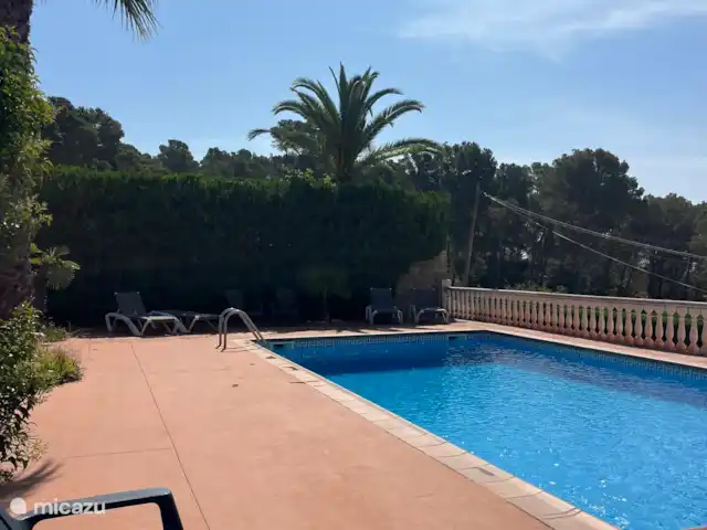 Location de Vacances Espagne, Costa Brava, L'Estartit, bungalow - Palmeras Estartit B La piscine partagée