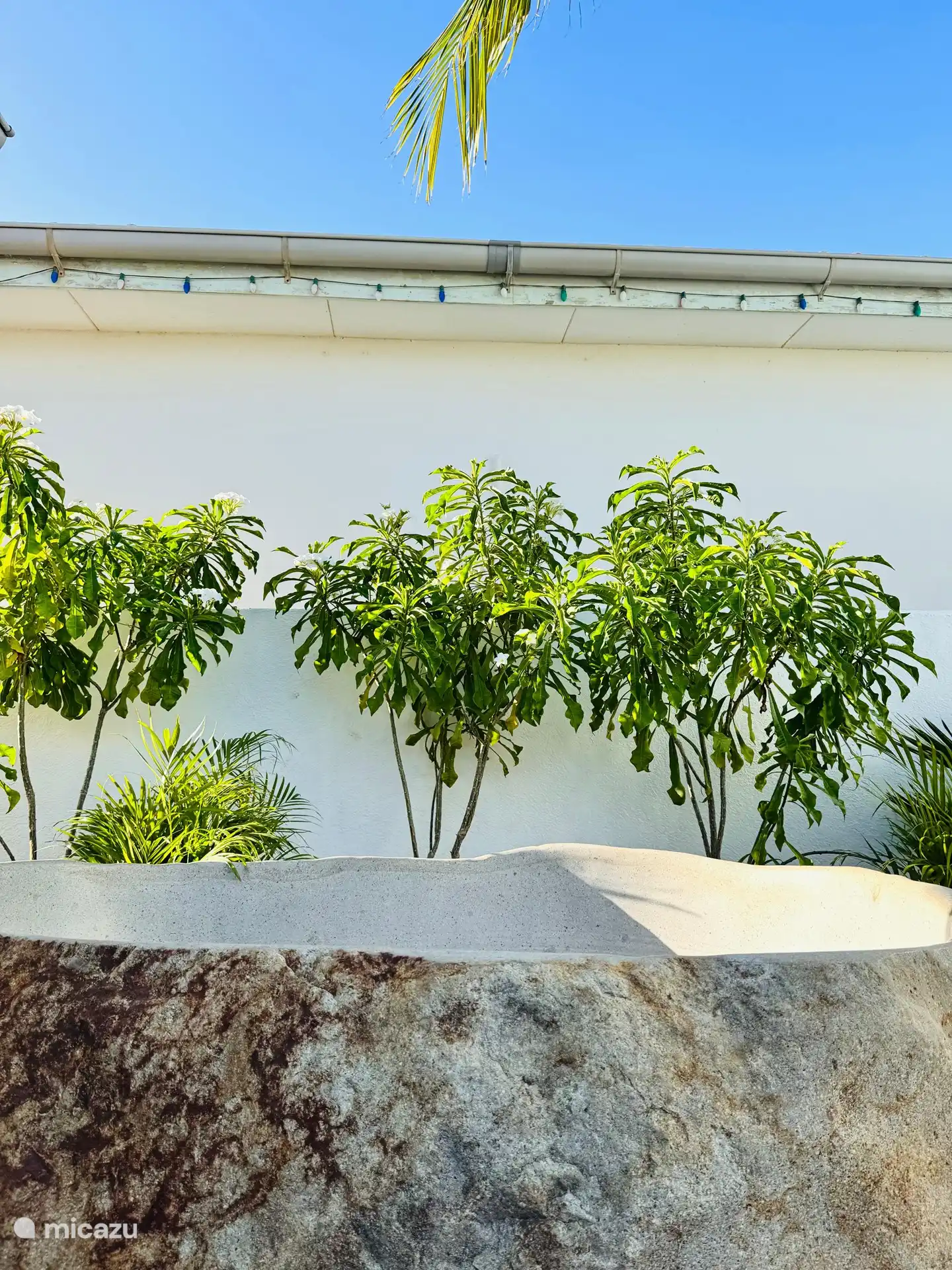 Our plunge pool is a hollowed-out city from Bali! Naturally filtered water from the ground allows you to cool off in a tropical oasis!