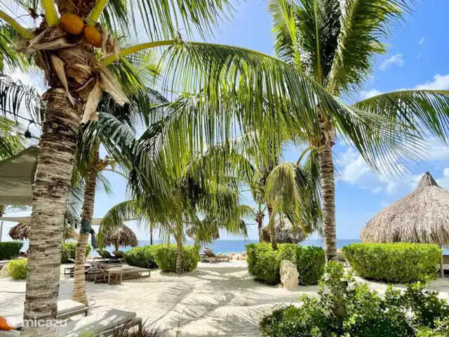 Location de Vacances Curaçao, Curaçao-Centre, Blue Bay, villa - Villa Jazmyn 26@Blue Bay Curaçao Strand Blue Bay Beach & Golf Resort