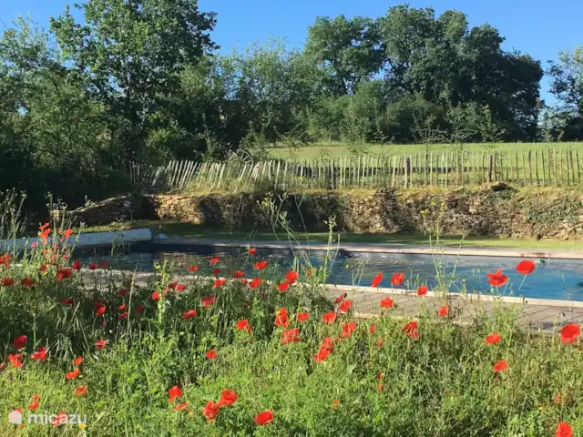 Le hameau de la Grèze | France, Dordogne, Paunat - maison de vacances