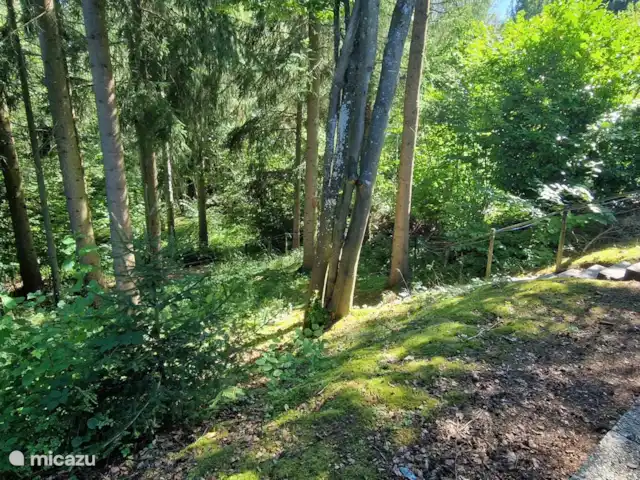 Eifel Residence 3 huren in Duitsland, Eifel, Gerolstein - bungalow