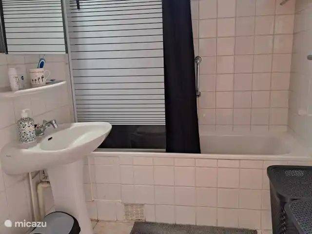 Location de Vacances France, Charente, Écuras, maison de vacances - Le Chat 217 Le Camelot Salle de Bains