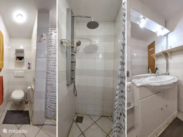 Moulin Fouché | Le Moulin | France, Côte-d'Or, Arnay-le-Duc - gîte / cottage Salle de bain avec douche à effet pluie, toilettes et lavabo