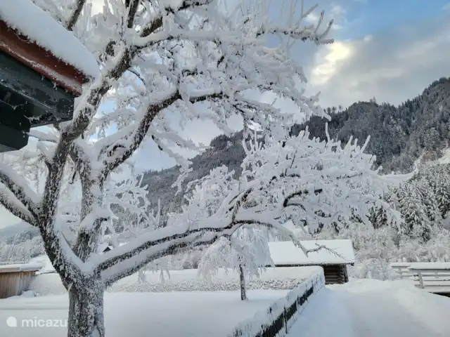 Location de Vacances Autriche, Salzburgerland, Bramberg am Wildkogel, appartement - Maison Mühlbach Kitzbühel La vue