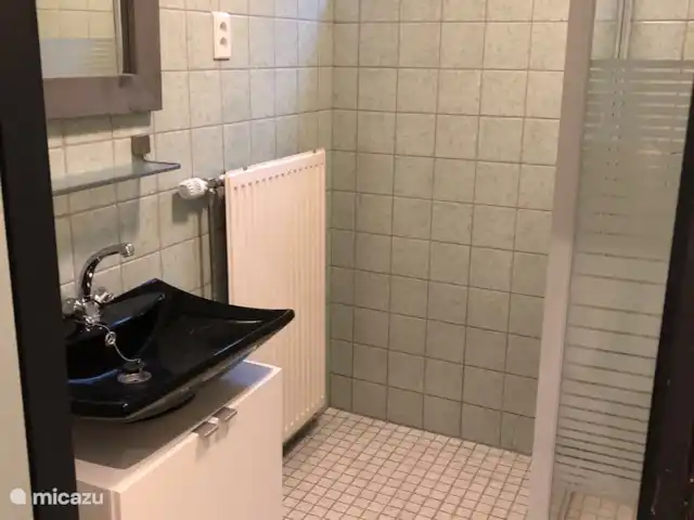Hébergement de groupe Vosseven 46/47 | Pays-Bas, Limbourg, Stramproy - bungalow Salle de bain 2