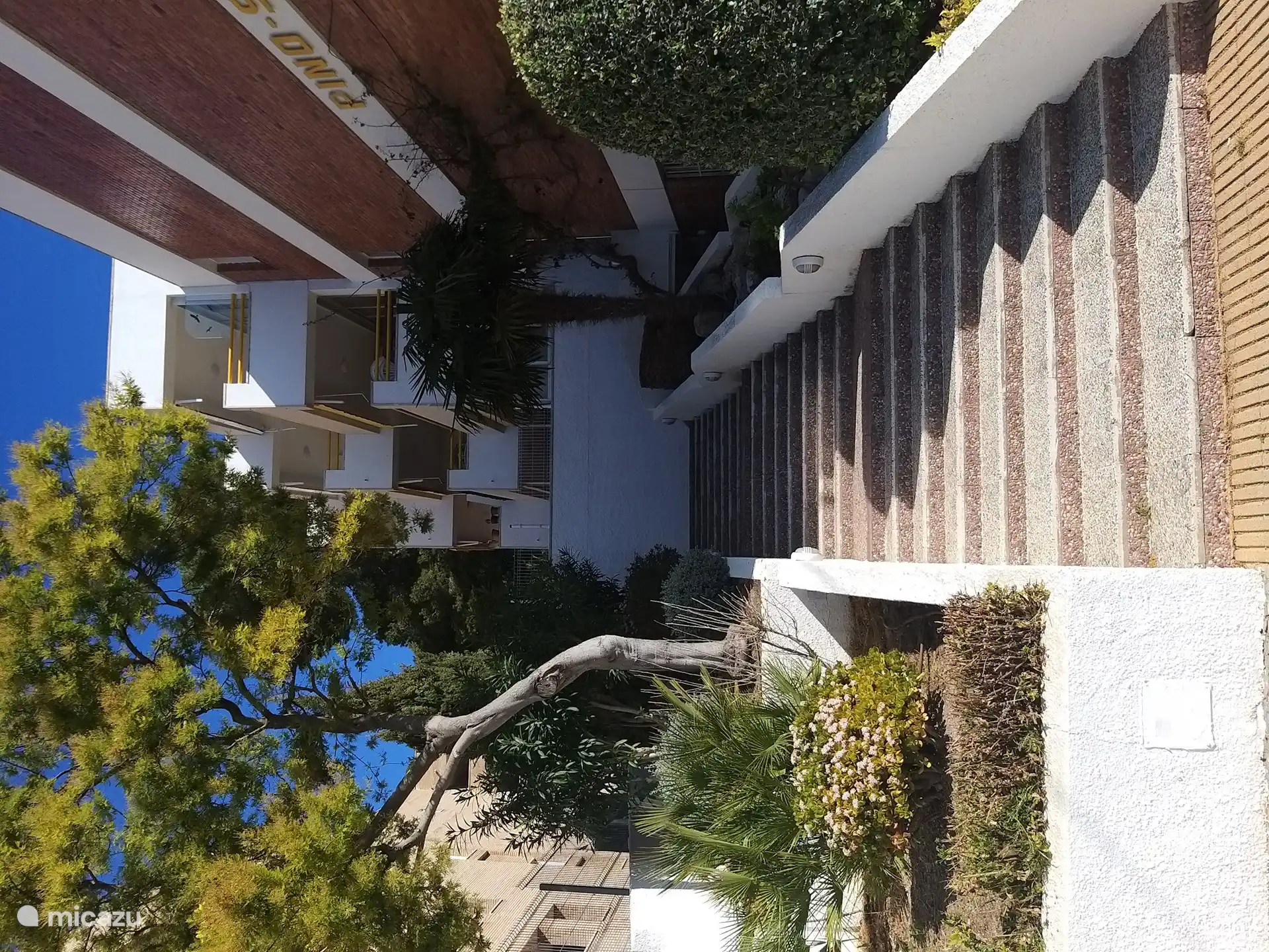 De flauwe trap naar boven, voordeur van het gebouw  Pino studio