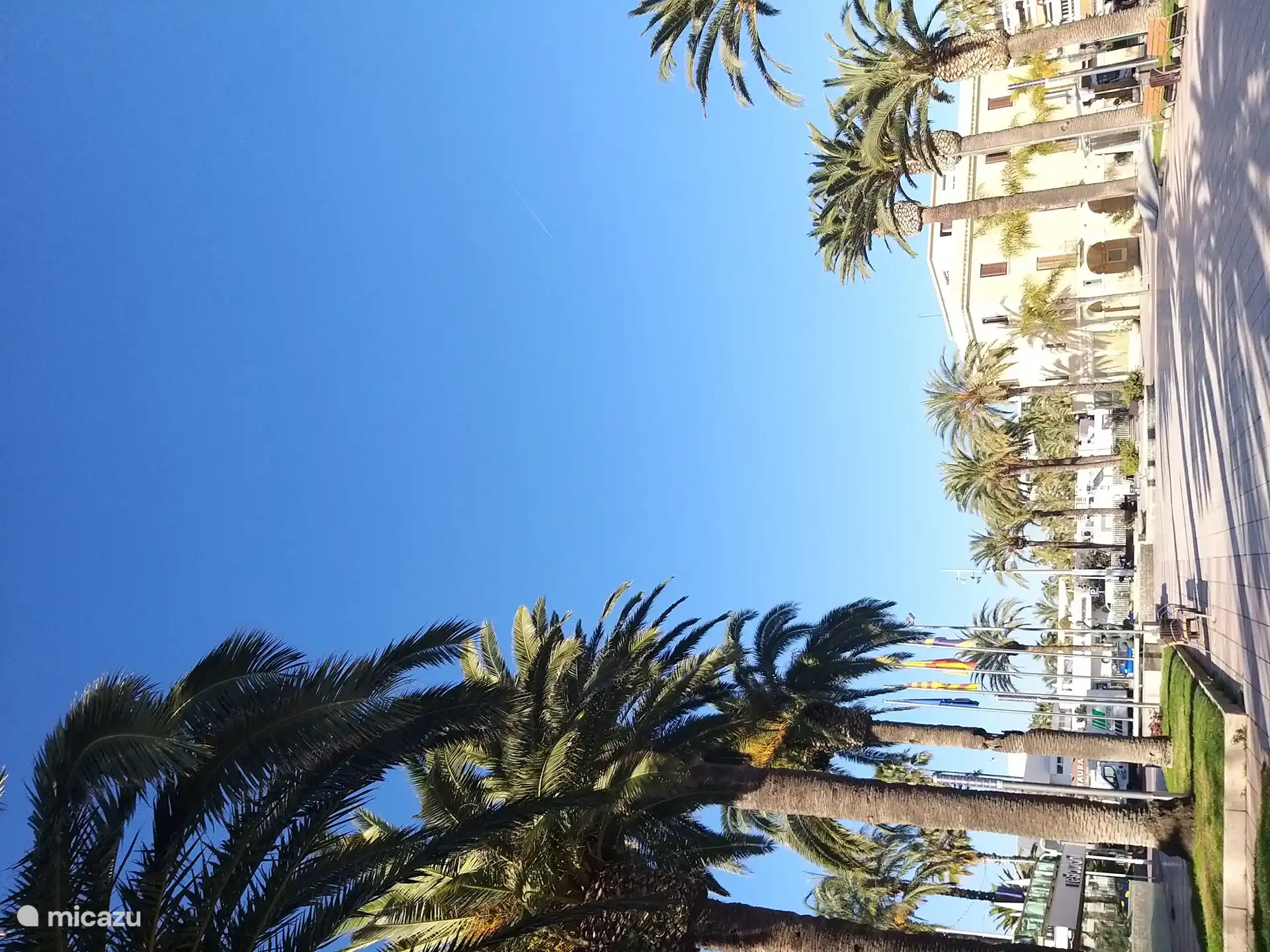 De prachtige boulevard in Salou met zoveel palmbomen