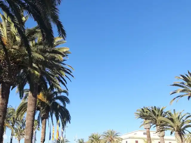Brisa al Mar | Espagne, Costa Dorada, Salou - appartement La belle promenade de Salou avec tant de palmiers