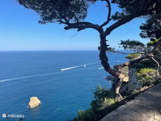 CASA SERENITA Encantadora villa Javea en España, Costa Blanca, Jávea - villa Medio ambiente