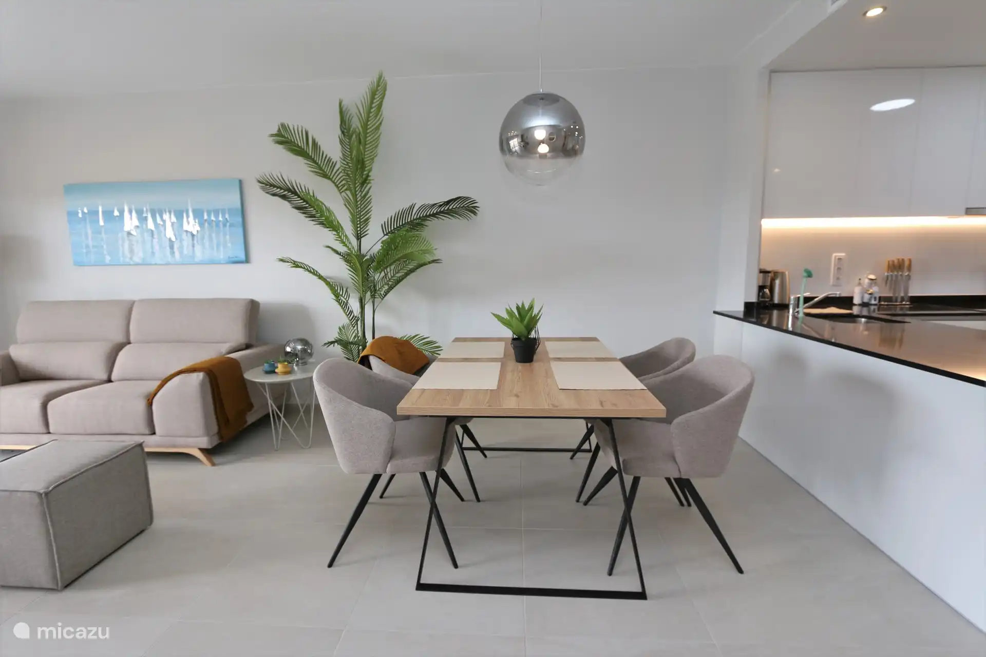 Salon, salle à manger et cuisine