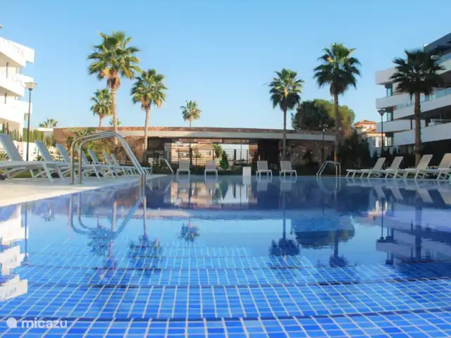 Appartement familial de luxe à Zuid  | Espagne, Costa Blanca, Orihuela Costa - appartement Piscine commune