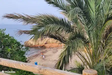 Spot de plongée et de snorkeling