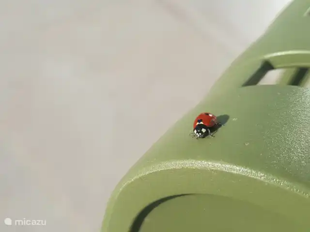 Casa Yasmina en España, Murcia, Mar de Cristal - penthouse
