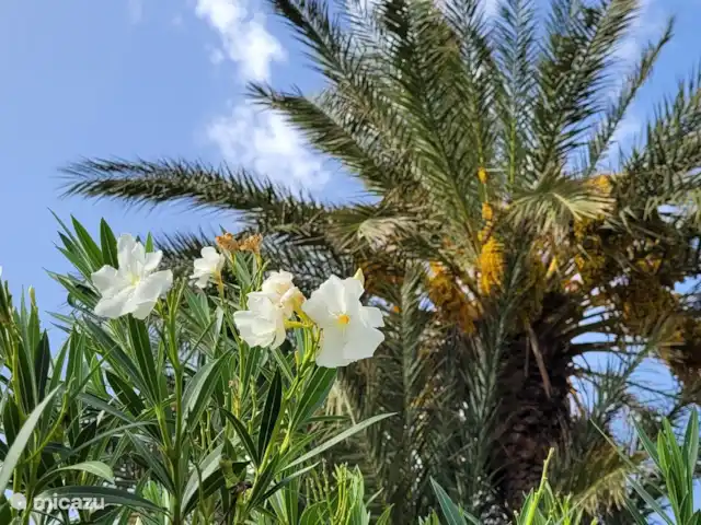 Casa Yasmina en España, Murcia, Mar de Cristal - penthouse