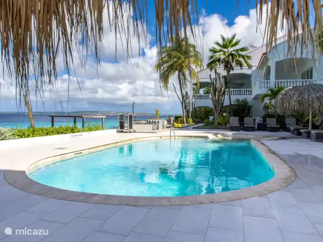 Location de Vacances Bonaire, Bonaire, Belnem, appartement - Appartements Belmar en bord de mer  piscine