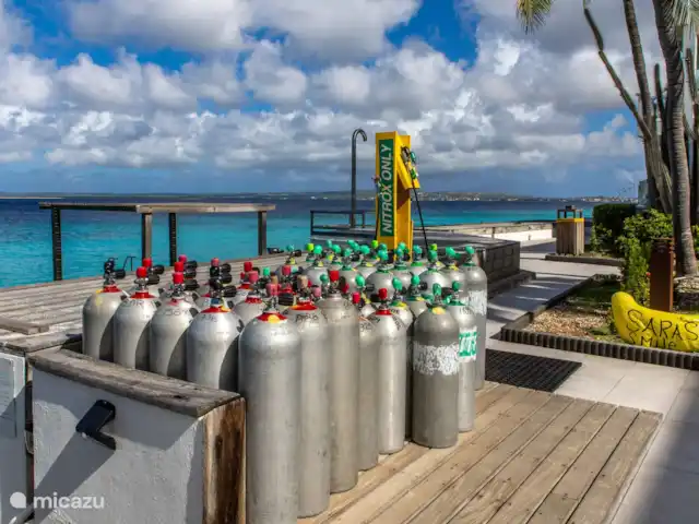 Location de Vacances Bonaire, Bonaire, Belnem, appartement - Appartements Belmar en bord de mer  Centre de plongée sur place