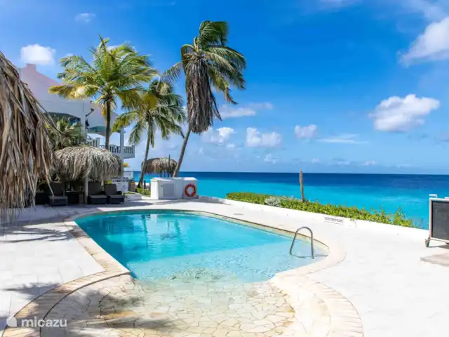 Location de Vacances Bonaire, Bonaire, Belnem, appartement - Appartements Belmar en bord de mer  Location de Vacances Bonaire, Bonaire, Belnem, appartement - Appartements Belmar en bord de mer