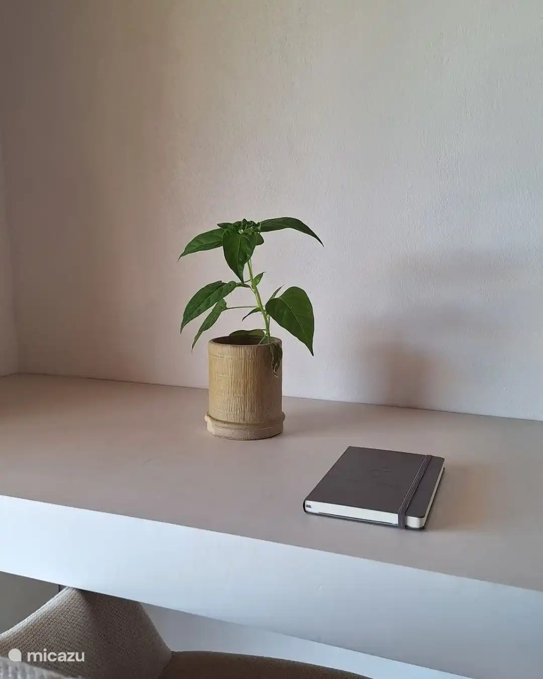 Jede Wohnung verfügt über einen großen, guten Schreibtisch zum Arbeiten oder Schreiben