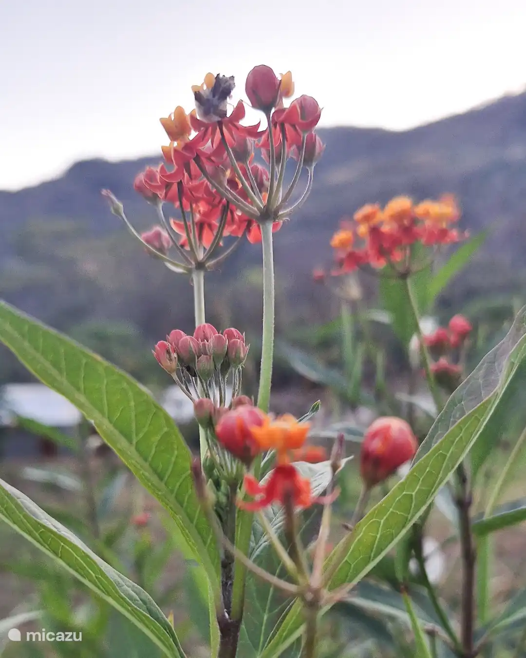 Wir bauen alles selbst an