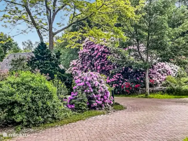 Bella Nova | Pays-Bas, Drenthe, Zorgvlied - maison de vacances