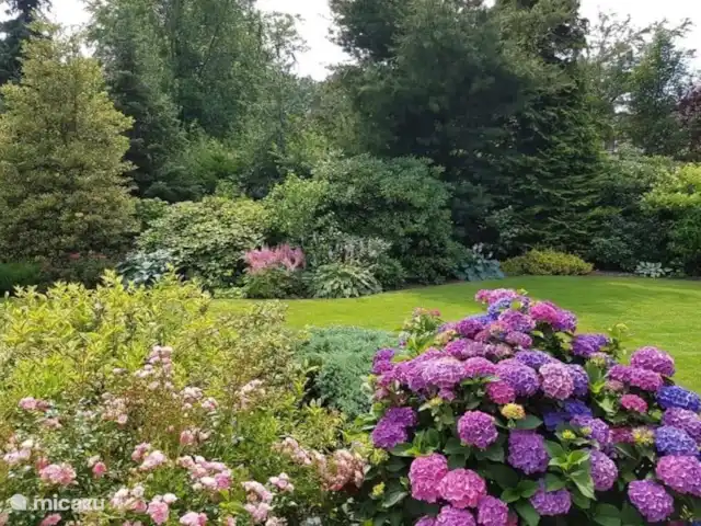 Bella Nova | Pays-Bas, Drenthe, Zorgvlied - maison de vacances