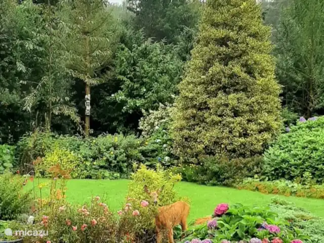 Bella Nova | Pays-Bas, Drenthe, Zorgvlied - maison de vacances