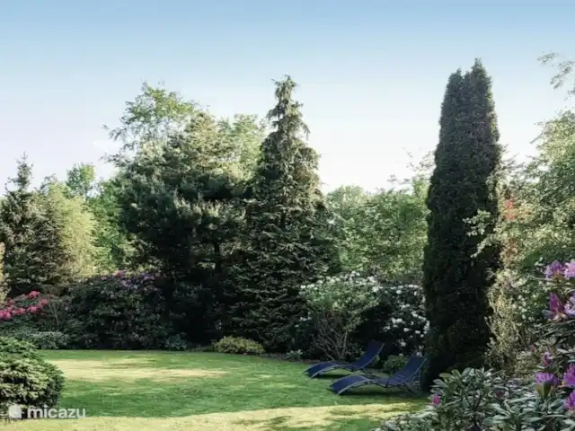 Bella Nova | Pays-Bas, Drenthe, Zorgvlied - maison de vacances