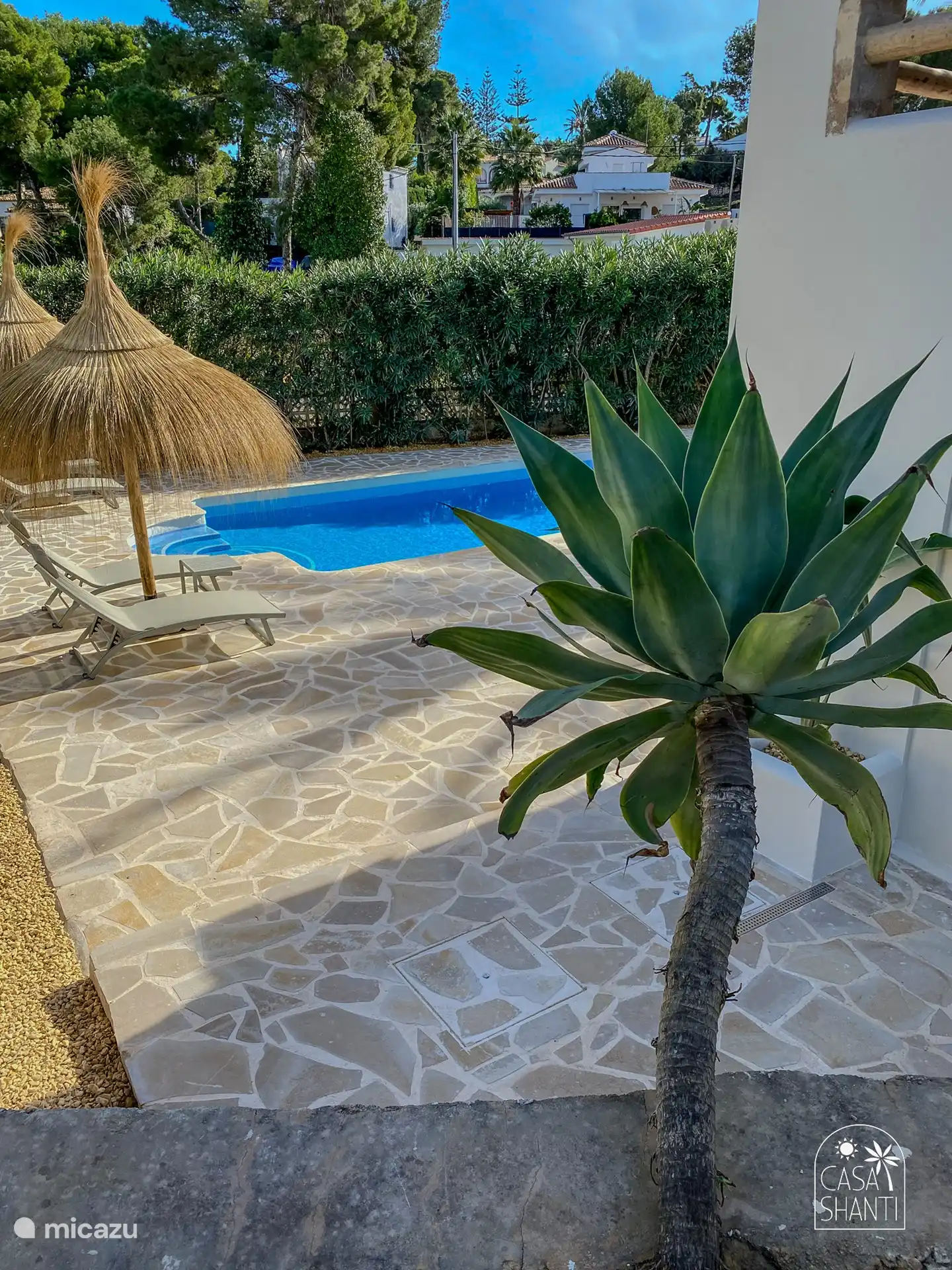 Blick in den Garten.