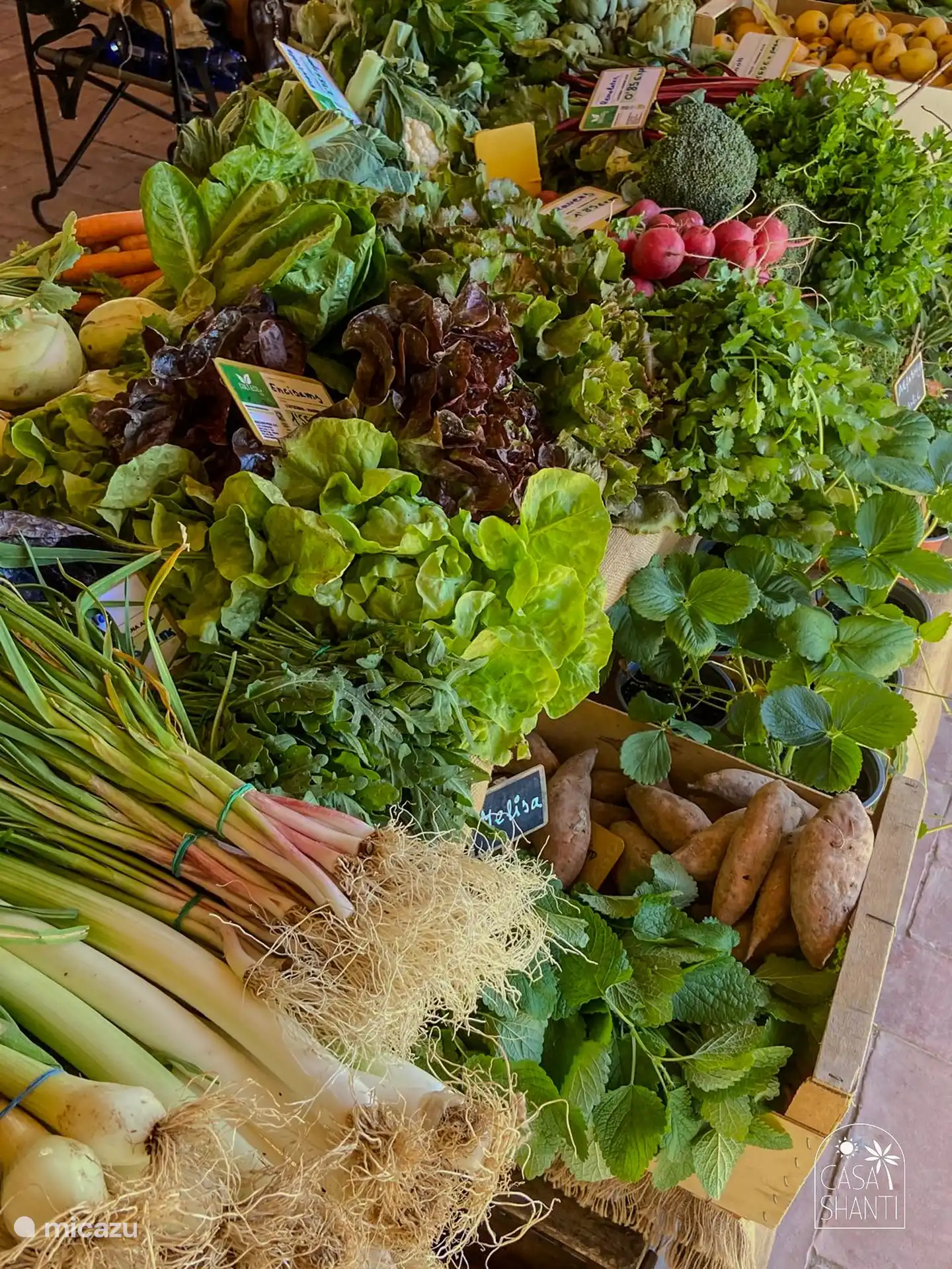 Sonntags zum Markt in Jesús Pobre