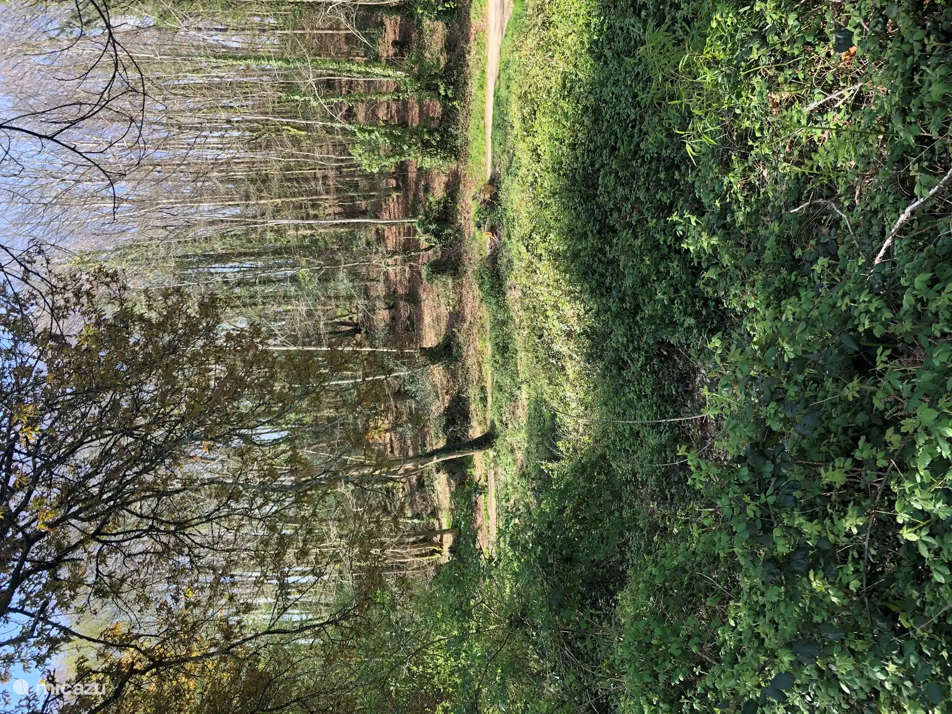Het kleine bos om te wandelen ligt op 5 minuten lopen, bij de uitgang van de residentie