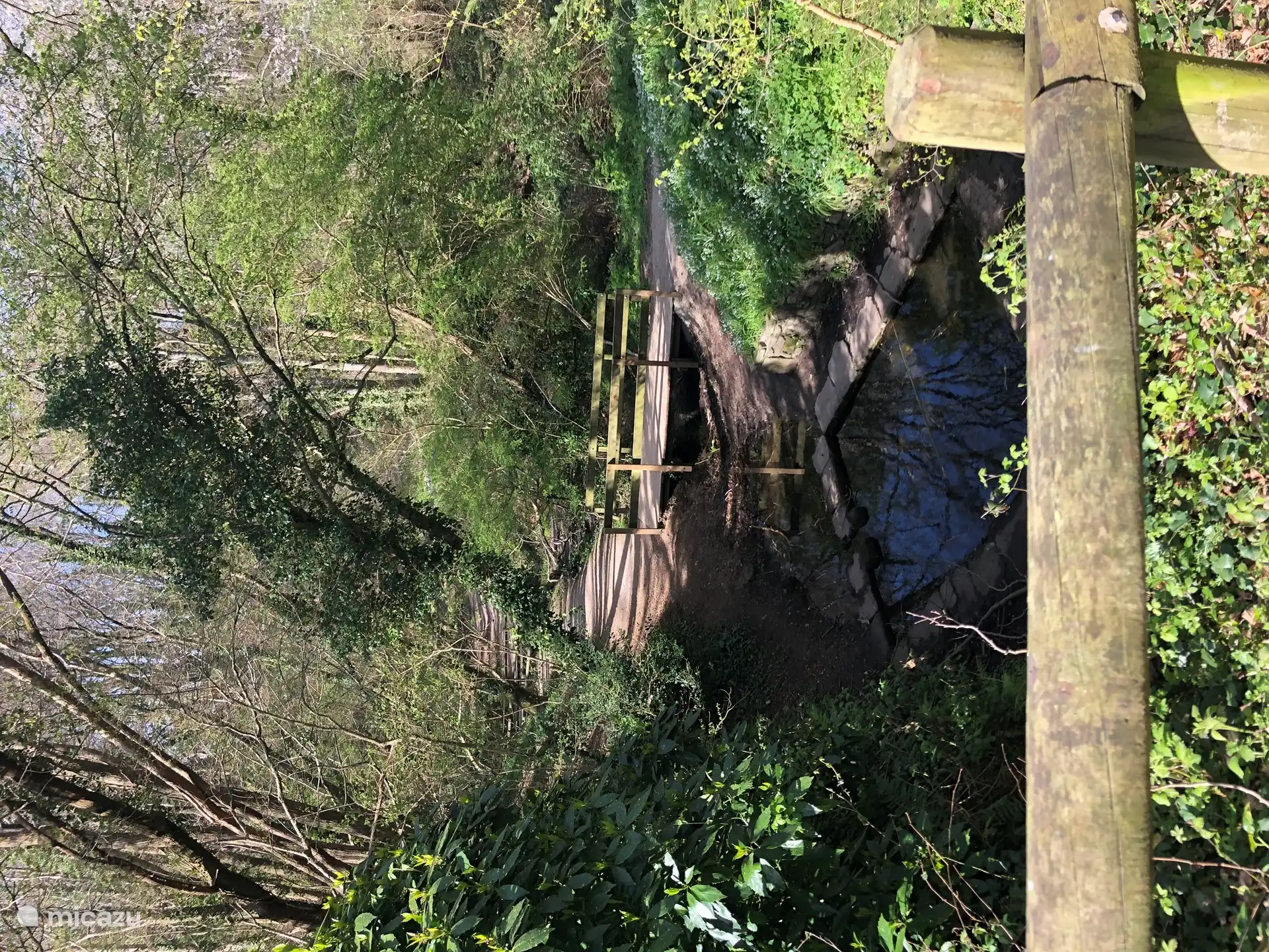 Het kleine bos om te wandelen ligt op 5 minuten lopen, bij de uitgang van de residentie