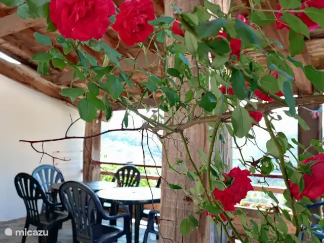 LE1739 en Francia, Gard, Saint-André-de-Majencoules - casa vacacional Le1739 Terraza
