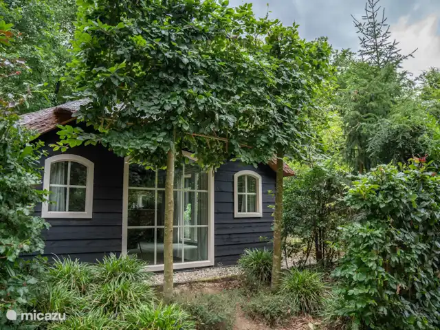 Confort de mariposa Heath en Países Bajos, Güeldres, Ermelo - chalet Confort de mariposa Heath en Países Bajos, Güeldres, Ermelo - chalet