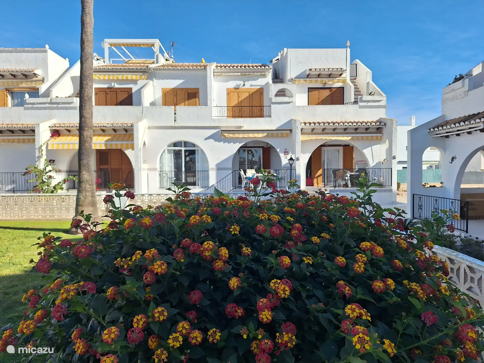 Blumenpracht mit Casa Mariposa im Hintergrund