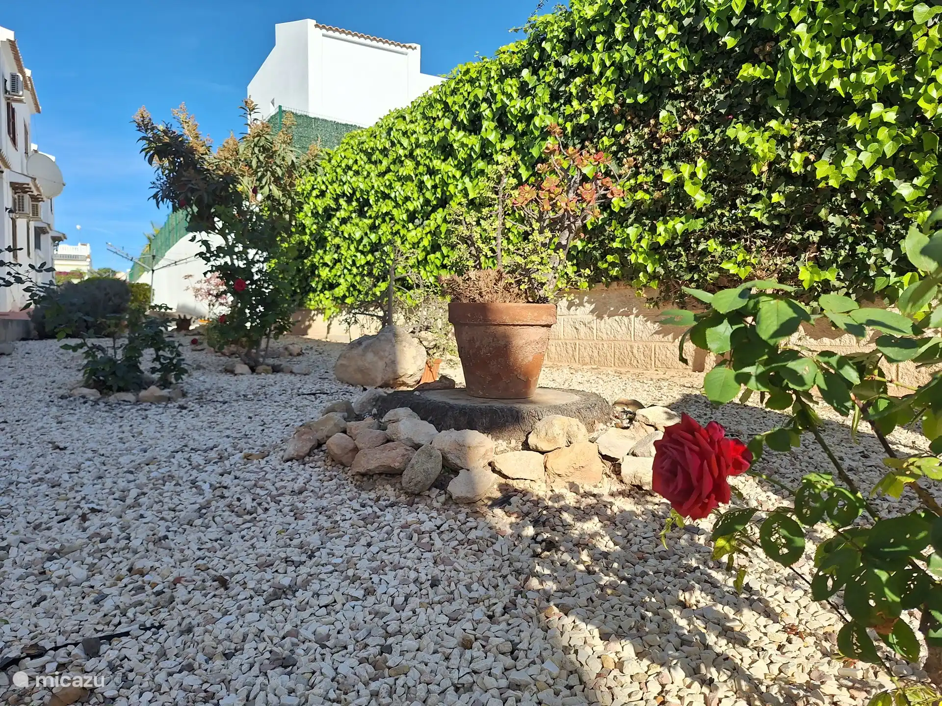 Garten an der Haustürseite