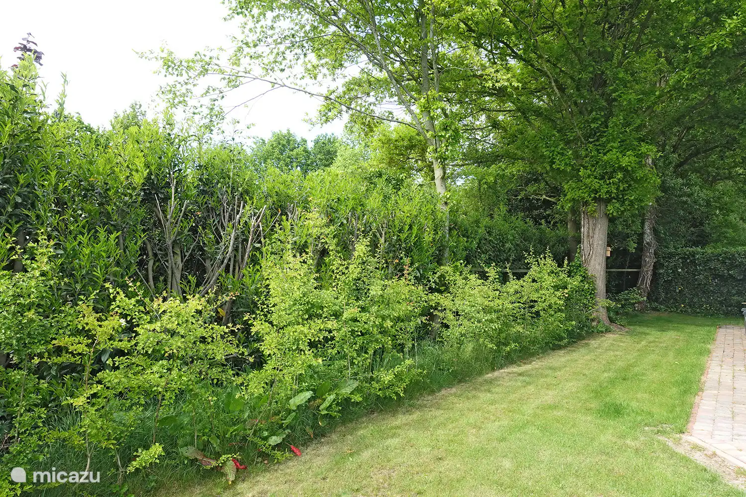 5 persoons Chalet de Wilg, Rheezerveen. .Zij kant tuin om te rusten.