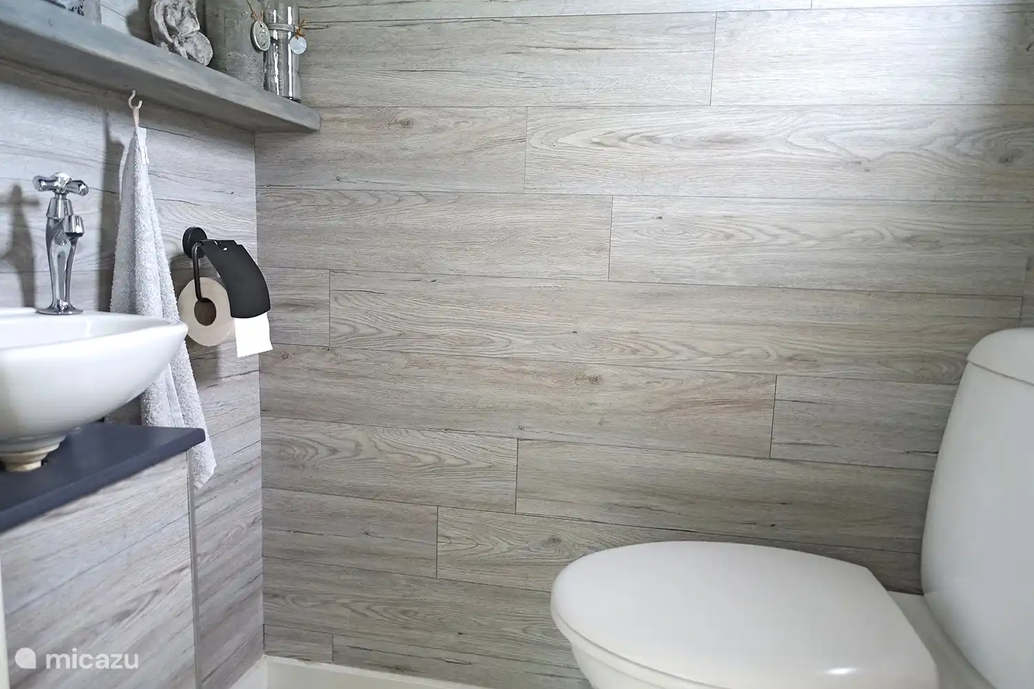 5 persoons chalet De Wilg, Rheezerveen. Zelfs een gezellig toilet