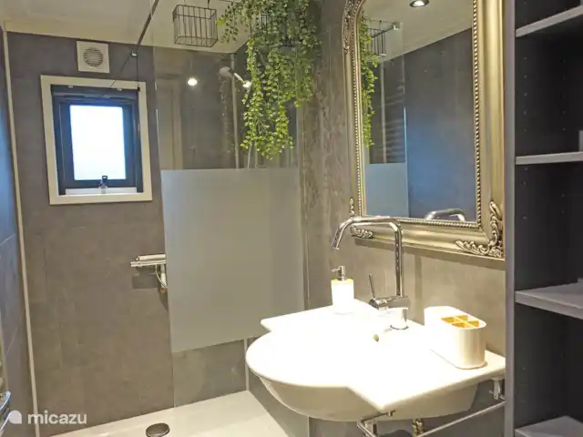 De Wilg, Stoetenslagh huren in Nederland, Overijssel, Rheezerveen - chalet 5 persoons chalet De Wilg, Rheezerveen. Badkamer met ruime inloopdouche, wastafel, kast en design radiato