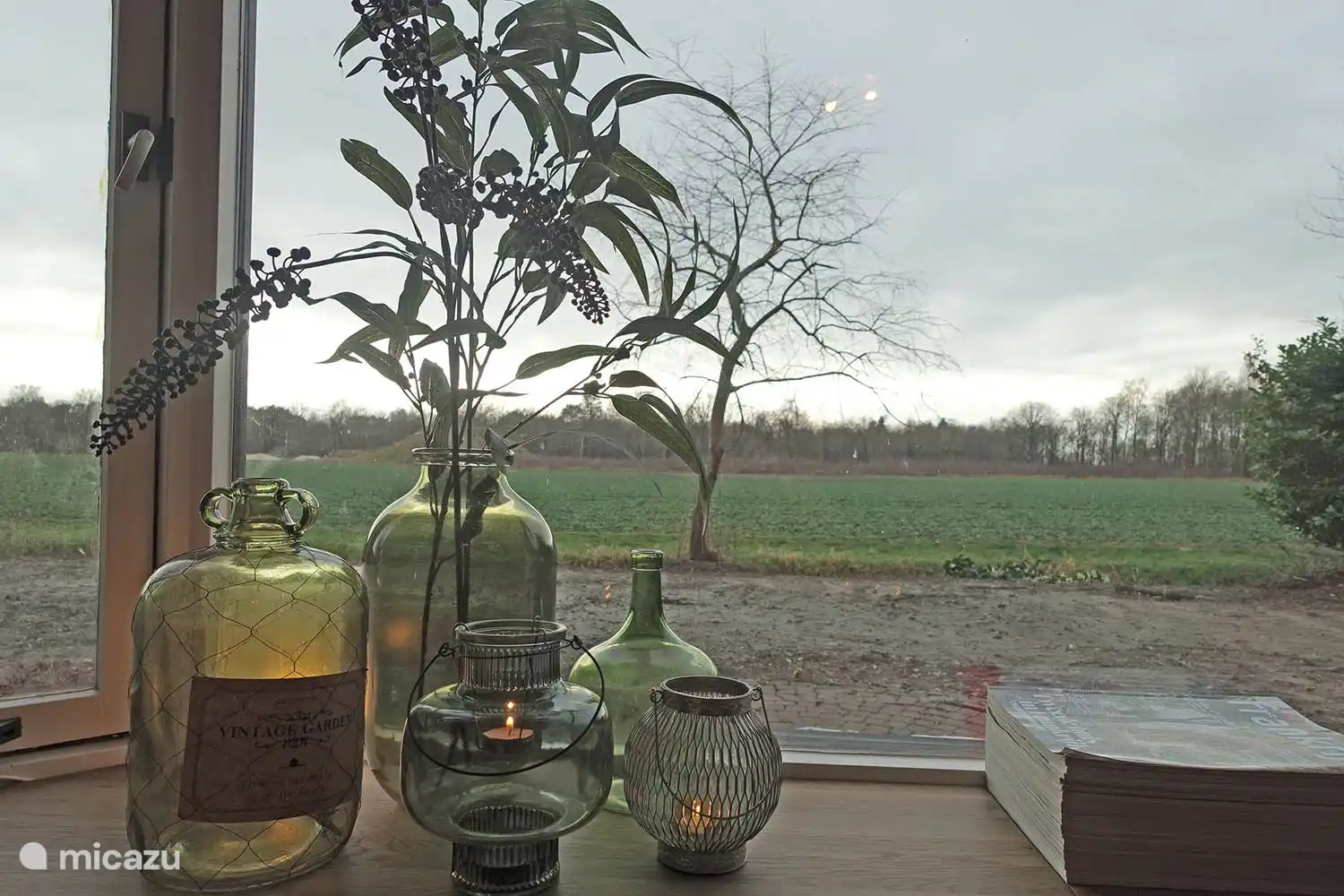 5 persoons chalet De Wilg, Rheezerveen met fenomenaal uitzicht