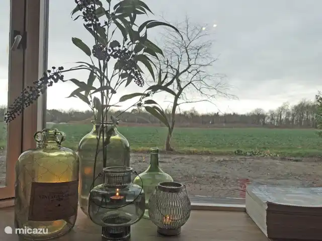 De Wilg, Stoetenslagh huren in Nederland, Overijssel, Rheezerveen - chalet 5 persoons chalet De Wilg, Rheezerveen met fenomenaal uitzicht