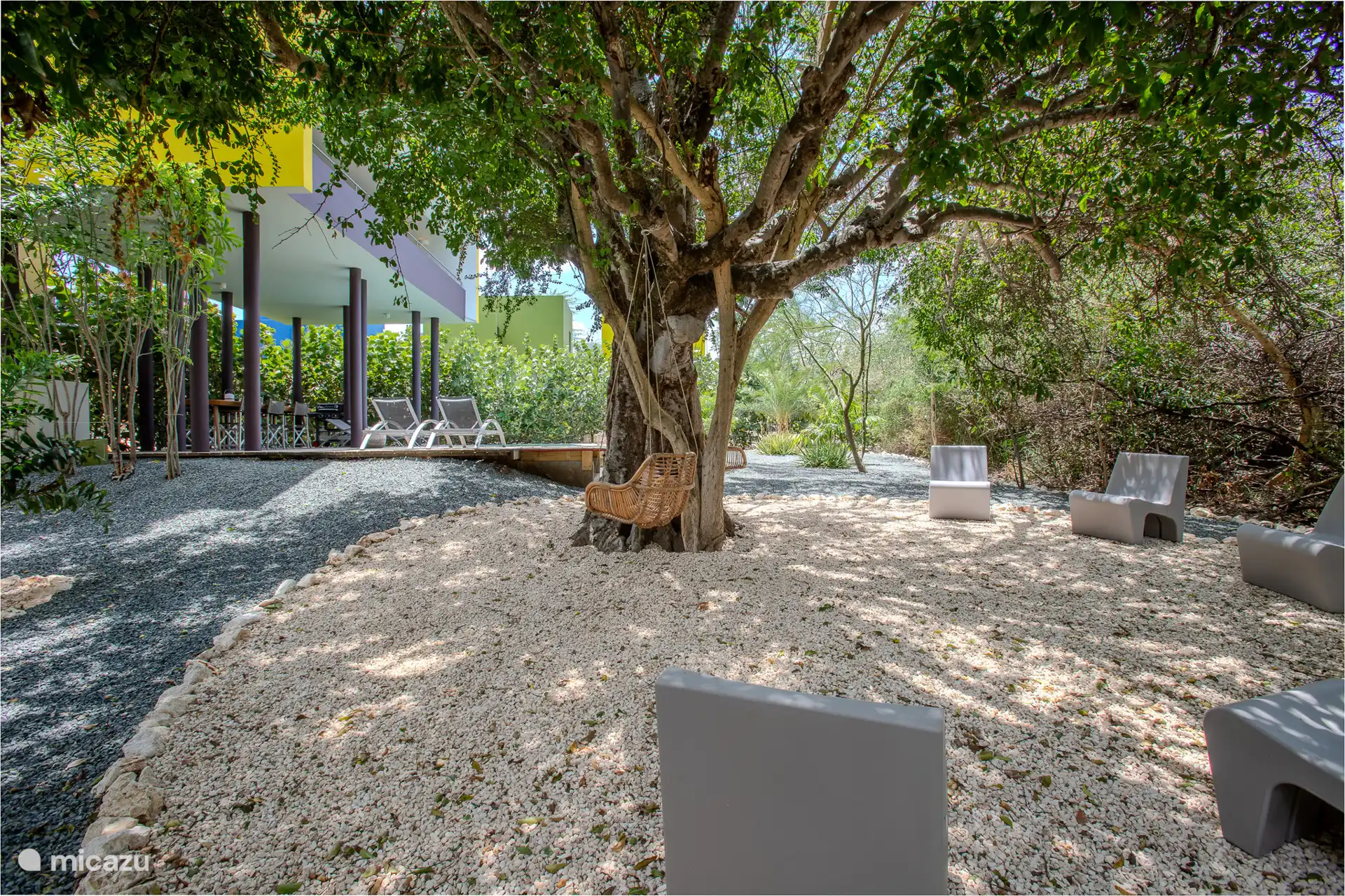 2 schöne Schaukelstühle auf dem Baum und um einen Sitz herum mit schönen, schlanken Designstühlen 