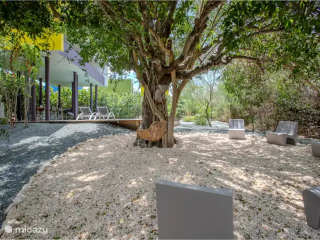 Villa design unique dans un complexe naturel | Curaçao, Curaçao-Centre, Sint Michiel - villa 2 jolis fauteuils à bascule sur l’arbre et autour d’un siège avec de belles chaises design épurées
