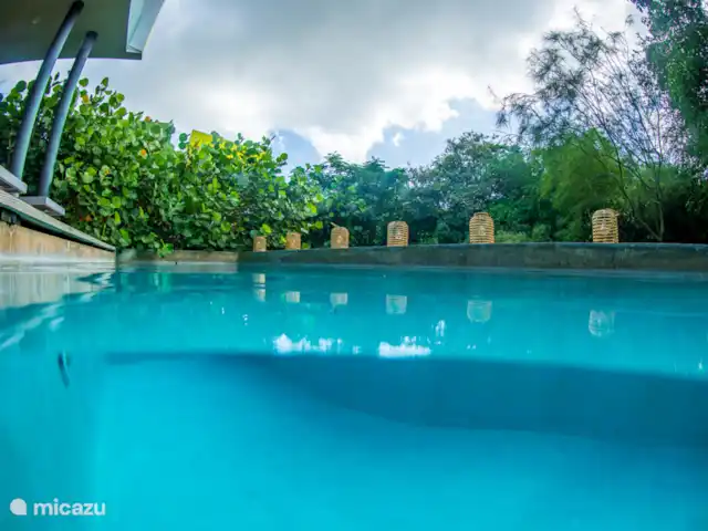 Villa design unique dans un complexe naturel | Curaçao, Curaçao-Centre, Sint Michiel - villa Rafraîchissez-vous dans la piscine privée.