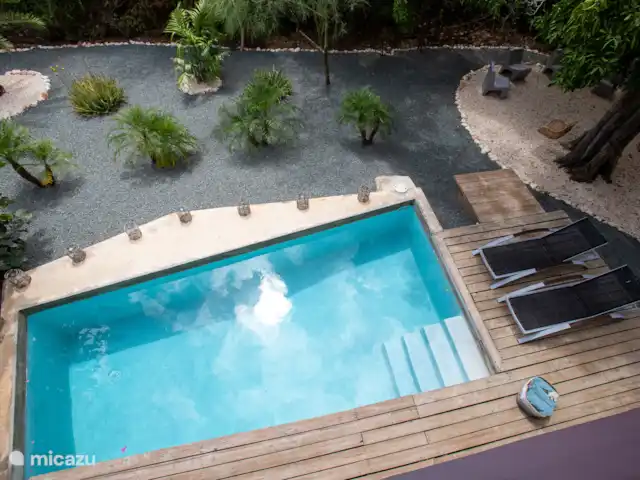 Villa design unique dans un complexe naturel | Curaçao, Curaçao-Centre, Sint Michiel - villa La piscine privée avec chaises longues et beau jardin paysager