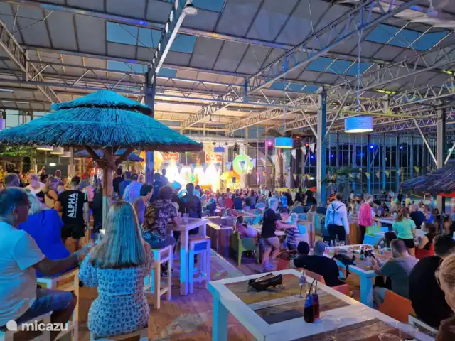 De Eik, Stoetenslagh | Pays-Bas, Overijssel, Rheezerveen - chalet Chalet 4 personnes, Le chêne, animation ou discothèque, tout est possible ici.