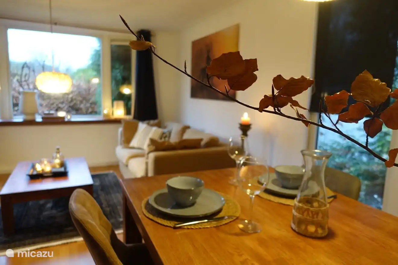 Chalet 4 personen, De eik, Stoetenslagh Rheezerveen, kijkje in de woonkamer