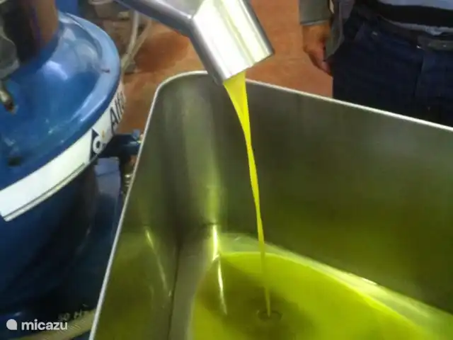 Villa Bonforte huren in Italië, Sicilië, Francofonte - villa eindresultaat