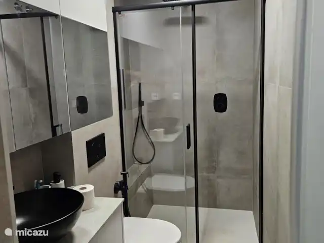 Casa Sol Y Mar | Espagne, Murcia, San Pedro del Pinatar - appartement Salle de bain attenante avec douche à effet pluie et douchette, toilettes avec robinet de bidet et lavabo.